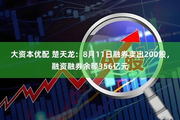 大资本优配 楚天龙:8月11日融券卖出200股,融资融券余额356亿元