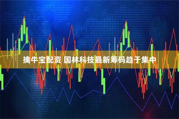 擒牛宝配资 国林科技最新筹码趋于集中