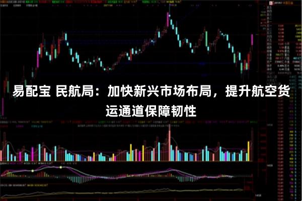 易配宝 民航局：加快新兴市场布局，提升航空货运通道保障韧性