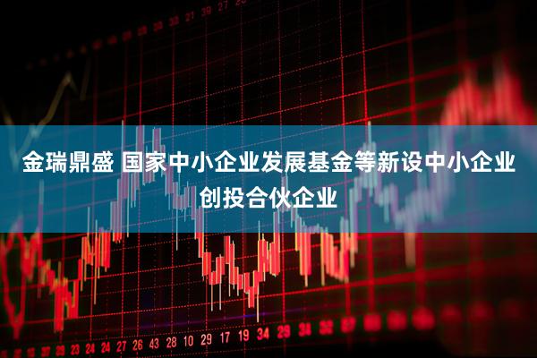 金瑞鼎盛 国家中小企业发展基金等新设中小企业创投合伙企业