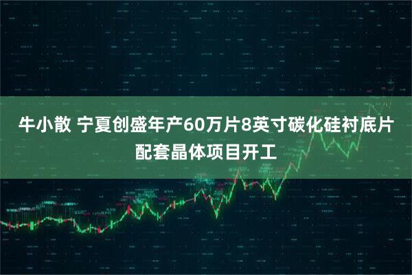 牛小散 宁夏创盛年产60万片8英寸碳化硅衬底片配套晶体项目开工