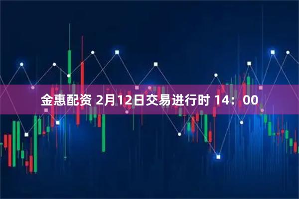 金惠配资 2月12日交易进行时 14：00